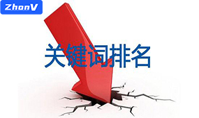 廣州網站優化排名軟件怎么選？